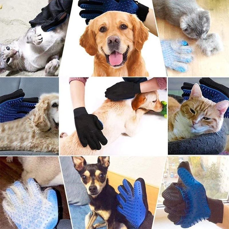 Luvas para tosa de animais de  - Rubber Glove Cleaning avaliação e preço